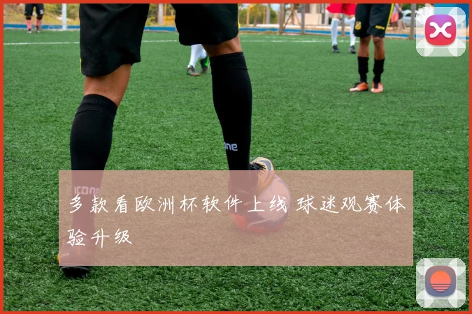 多款看欧洲杯软件上线 球迷观赛体验升级