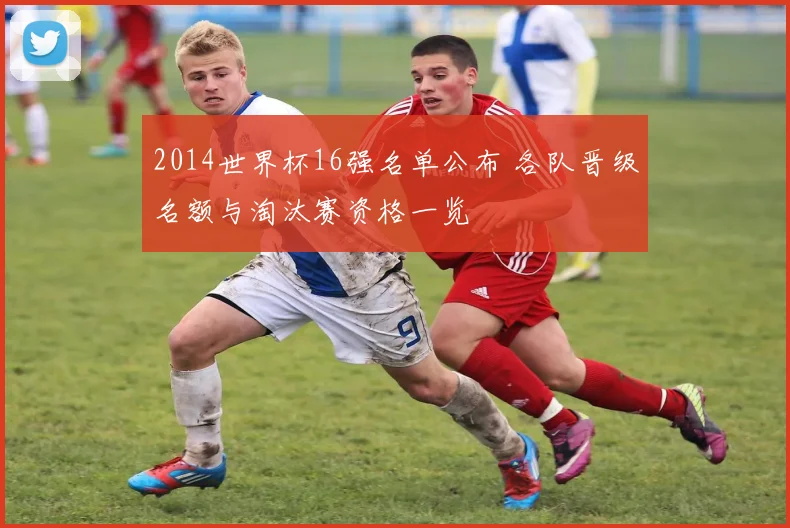 2014世界杯16强名单公布 各队晋级名额与淘汰赛资格一览