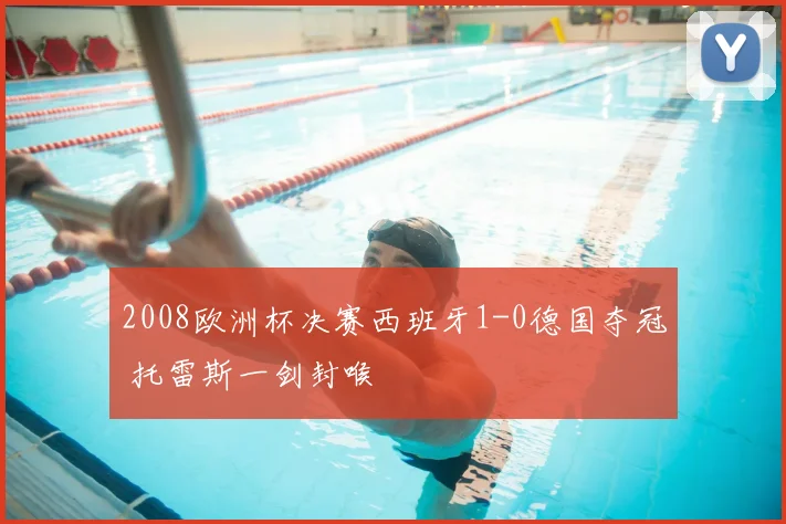 2008欧洲杯决赛西班牙1-0德国夺冠 托雷斯一剑封喉