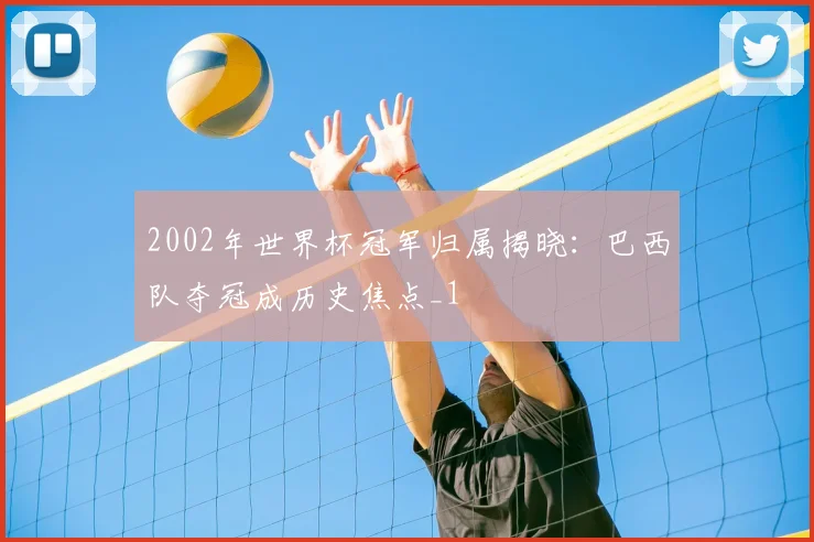 2002年世界杯冠军归属揭晓：巴西队夺冠成历史焦点_1