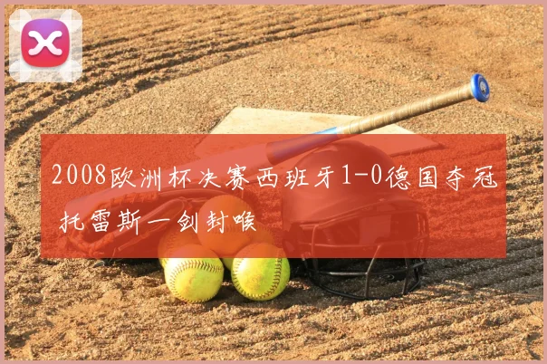 2008欧洲杯决赛西班牙1-0德国夺冠 托雷斯一剑封喉