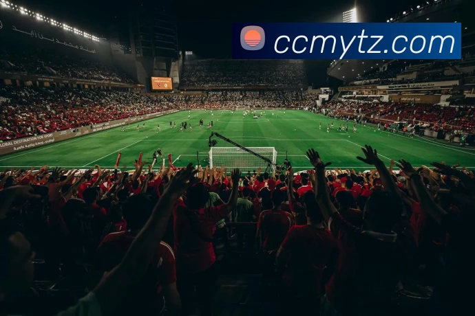 足球世界杯官网中文版平台生态图