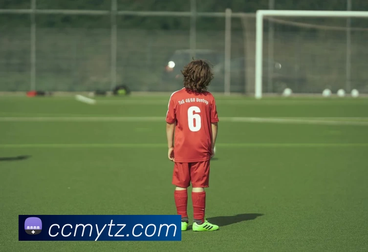 辅助工具 辅助工具